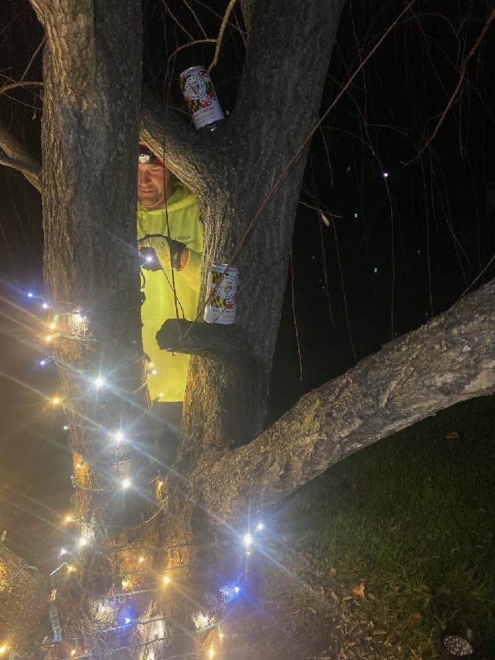 E.L.F. Designs crew member in a tree wrapping lights at night during a landscape lighting installation in Monkton, Maryland